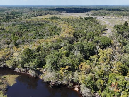 Little Satilla River Paradise