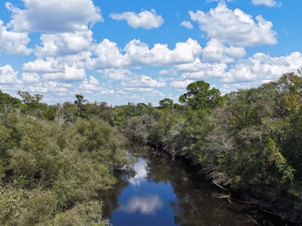 Little Satilla River Paradise