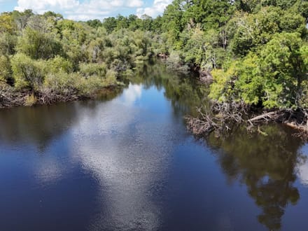 Little Satilla River Paradise
