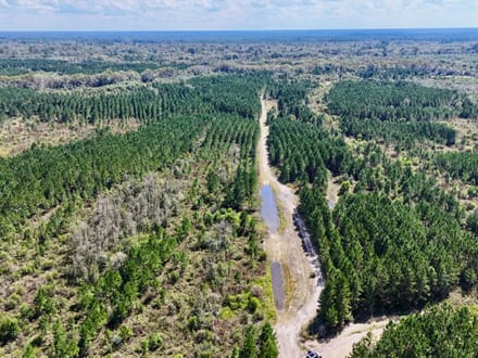 Little Satilla River Paradise