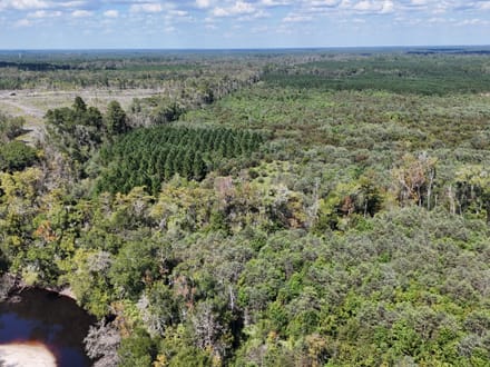 Little Satilla River Paradise