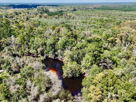Little Satilla River Paradise