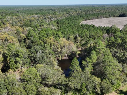 Millwood Hunting Retreat