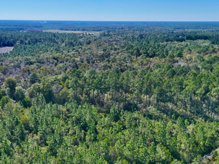 Millwood Hunting Retreat