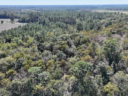 Millwood Hunting Retreat