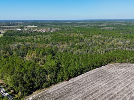 Millwood Hunting Retreat
