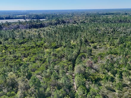 Millwood Hunting Retreat