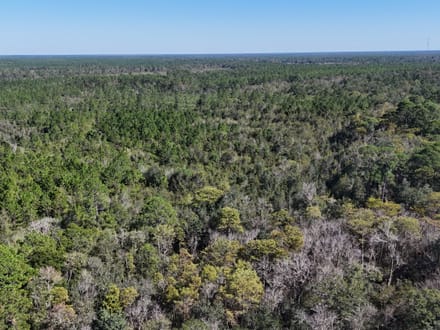 Millwood Hunting Retreat