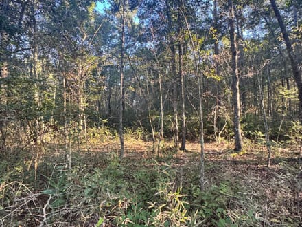5 Acres - Delta Road Fitzgerald, GA