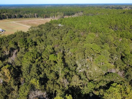 5 Acres - Delta Road Fitzgerald, GA