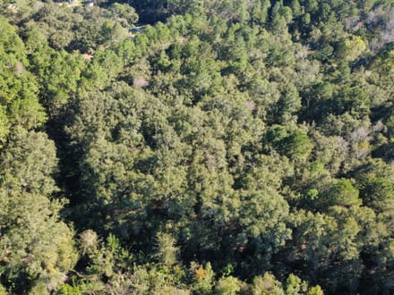 5 Acres - Delta Road Fitzgerald, GA