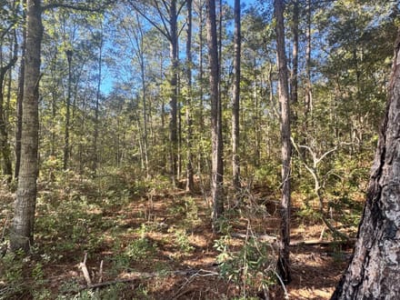 5 Acres - Delta Road Fitzgerald, GA