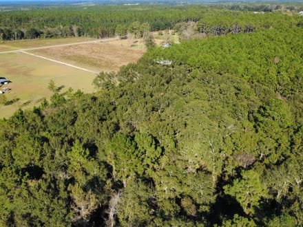 5 Acres - Delta Road Fitzgerald, GA