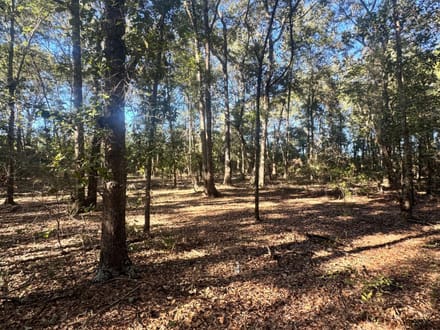 5 Acres - Delta Road Fitzgerald, GA