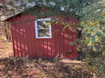10 acres, Wooded, Off Grid Cabin, Pond, 7425 Rossman Rd, Kingston MI 48741
