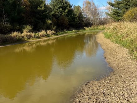 10 acres, Wooded, Off Grid Cabin, Pond, 7425 Rossman Rd, Kingston MI 48741