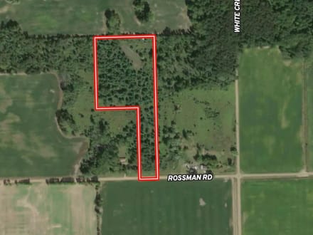 10 acres, Wooded, Off Grid Cabin, Pond, 7425 Rossman Rd, Kingston MI 48741