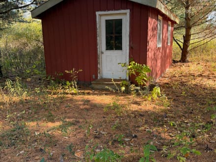 10 acres, Wooded, Off Grid Cabin, Pond, 7425 Rossman Rd, Kingston MI 48741