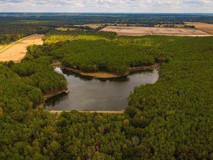 Lake and Forest Beauty