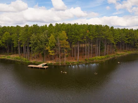 Lake and Forest Beauty
