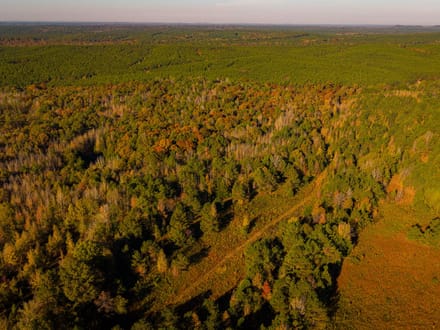 East Webster Hunting and Homesite