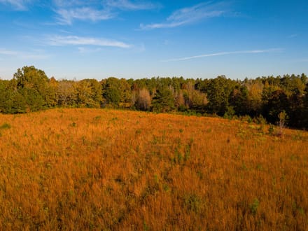 East Webster Hunting and Homesite