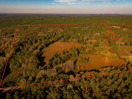 East Webster Hunting and Homesite