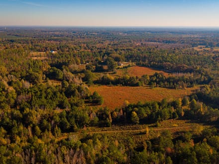 East Webster Hunting and Homesite