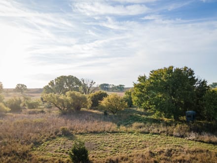 86± Acres | Kingman County, Kansas Hunting & Income Potential Near the Chikaskia River