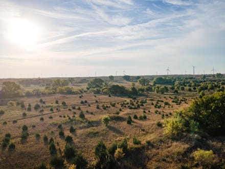 86± Acres | Kingman County, Kansas Hunting & Income Potential Near the Chikaskia River