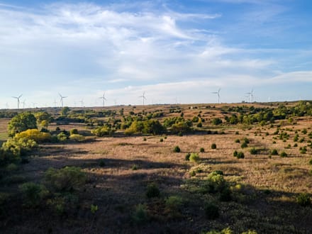 86± Acres | Kingman County, Kansas Hunting & Income Potential Near the Chikaskia River