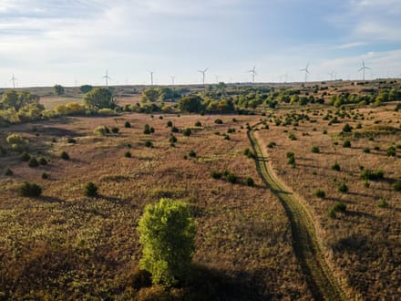 86± Acres | Kingman County, Kansas Hunting & Income Potential Near the Chikaskia River