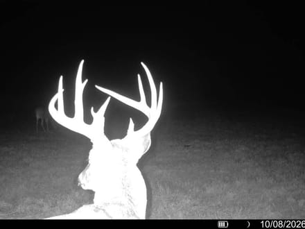 86± Acres | Kingman County, Kansas Hunting & Income Potential Near the Chikaskia River