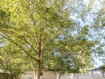 1806 Marsh Ave