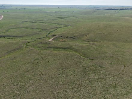 477 Acres | North Plum Creek Grass | Dawson County, NE