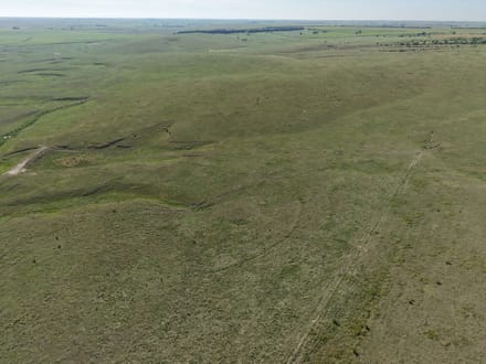 477 Acres | North Plum Creek Grass | Dawson County, NE