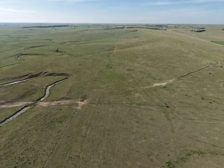 477 Acres | North Plum Creek Grass | Dawson County, NE
