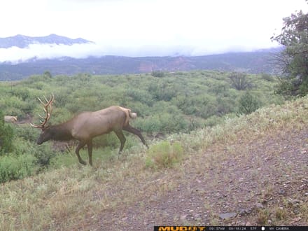 San Francisco River Lookout Ranch 