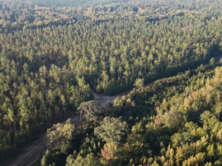 Maben 88