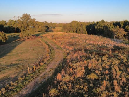 Peaceful 9.35 Acres In A Convenient Location 
