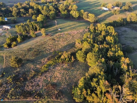 Peaceful 9.35 Acres In A Convenient Location 