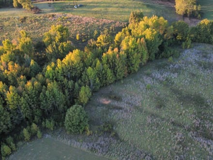 Peaceful 9.35 Acres In A Convenient Location 
