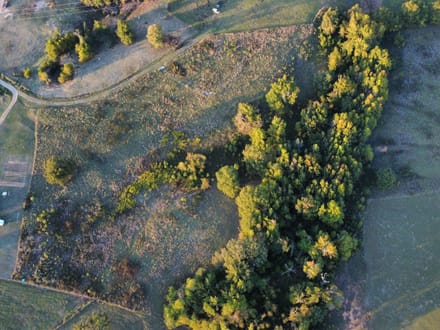 Peaceful 9.35 Acres In A Convenient Location 