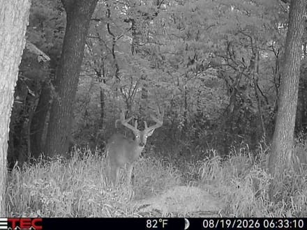 160 Acres E 750 RD CUSHING OK