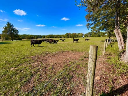 George's Creek Farm - Turnkey Farm With Updated Farmhouse on 19 +/- Acres For Sale In Pittsylvania County, VA