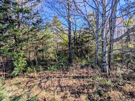 Unrestricted Land for Sale in Indian Valley VA