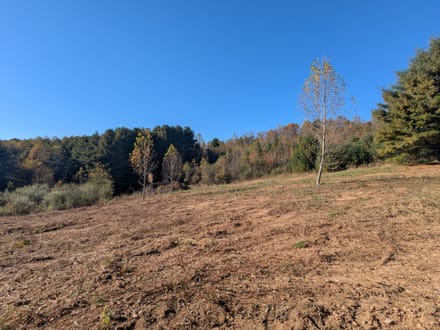 Unrestricted Land for Sale in Indian Valley VA