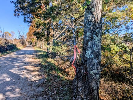 Unrestricted Land for Sale in Indian Valley VA