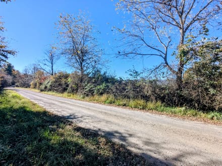 Unrestricted Land for Sale in Indian Valley VA