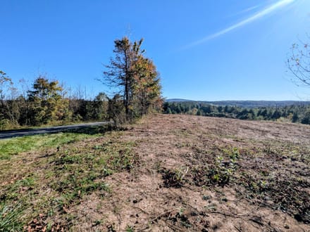 Unrestricted Land for Sale in Indian Valley VA